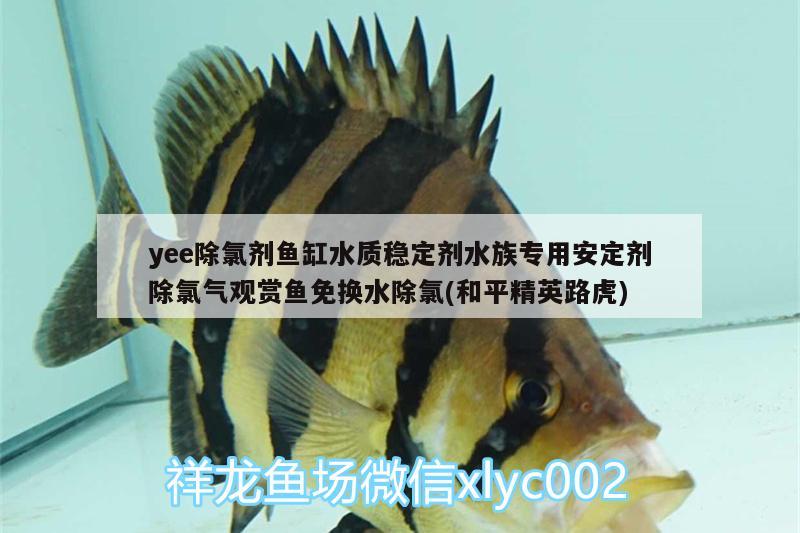 yee除氯剂鱼缸水质稳定剂水族专用安定剂除氯气观赏鱼免换水除氯(和平精英路虎) yee 第2张