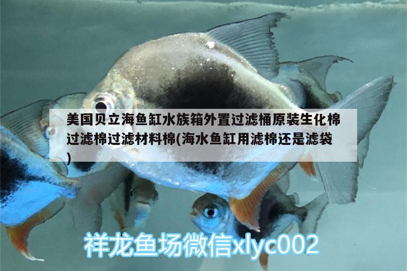 美国贝立海鱼缸水族箱外置过滤桶原装生化棉过滤棉过滤材料棉(海水鱼缸用滤棉还是滤袋)