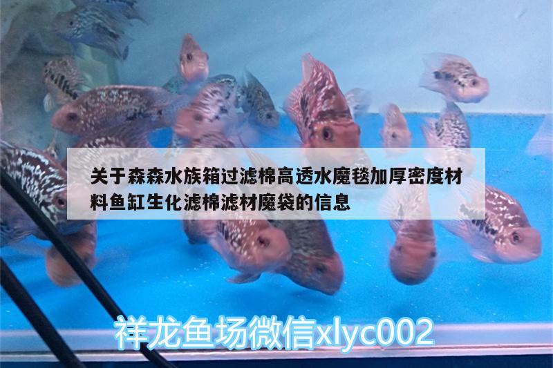 关于森森水族箱过滤棉高透水魔毯加厚密度材料鱼缸生化滤棉滤材魔袋的信息 鱼缸/水族箱