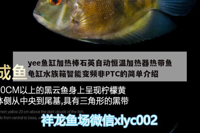 yee鱼缸加热棒石英自动恒温加热器热带鱼龟缸水族箱智能变频非PTC的简单介绍 乌龟