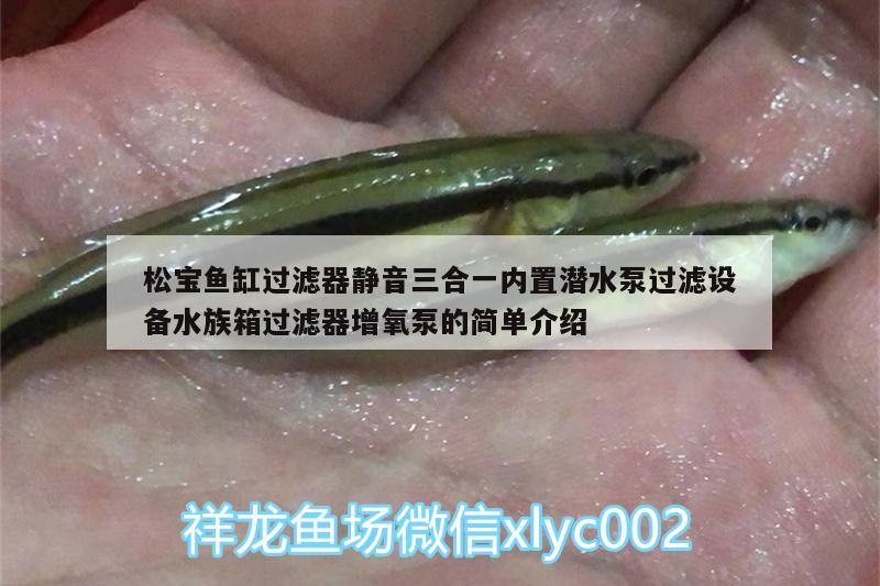 松宝鱼缸过滤器静音三合一内置潜水泵过滤设备水族箱过滤器增氧泵的简单介绍