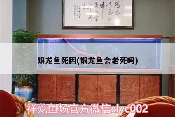 银龙鱼死因(银龙鱼会老死吗)