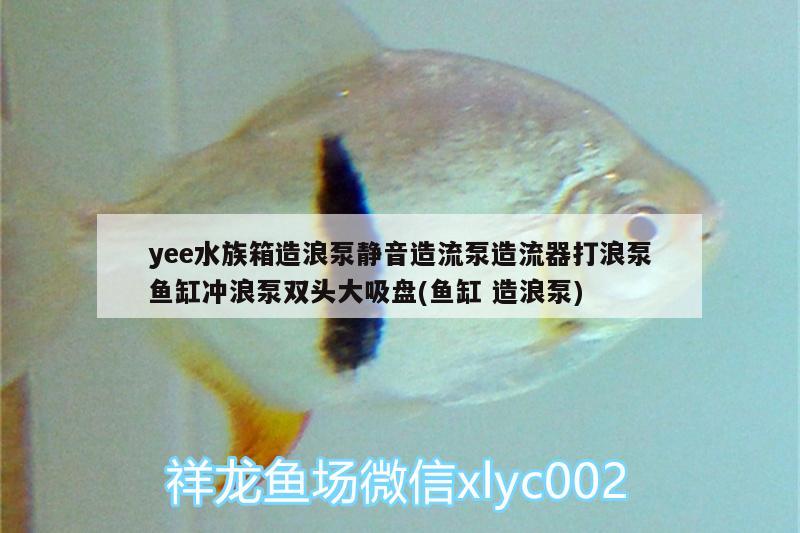 yee水族箱造浪泵静音造流泵造流器打浪泵鱼缸冲浪泵双头大吸盘(鱼缸造浪泵) yee