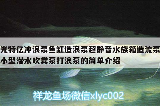 光特亿冲浪泵鱼缸造浪泵超静音水族箱造流泵小型潜水吹粪泵打浪泵的简单介绍