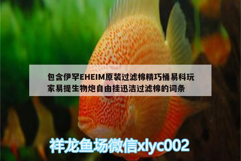 包含伊罕EHEIM原装过滤棉精巧桶易科玩家易提生物炮自由挂迅洁过滤棉的词条 伊罕水族