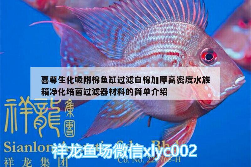 喜尊生化吸附棉鱼缸过滤白棉加厚高密度水族箱净化培菌过滤器材料的简单介绍 鱼缸/水族箱