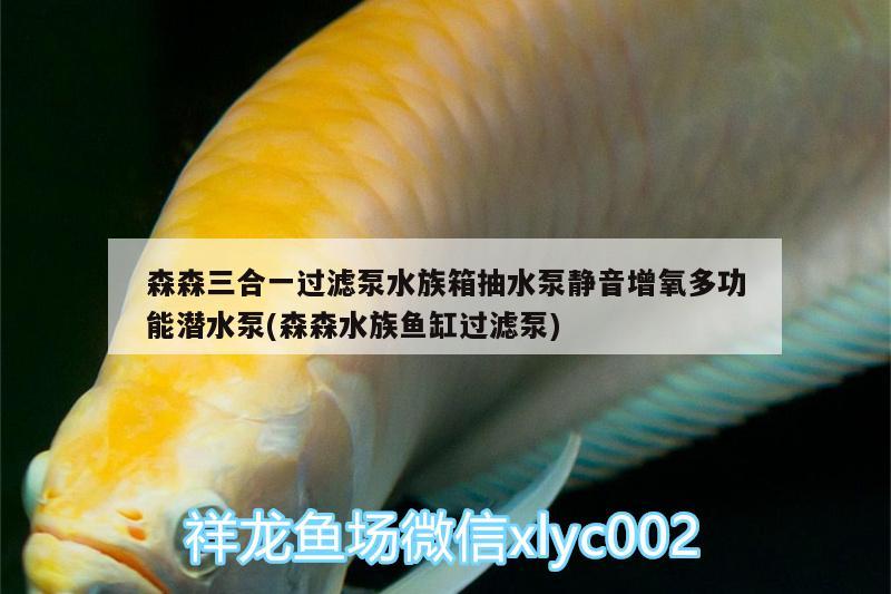 森森三合一过滤泵水族箱抽水泵静音增氧多功能潜水泵(森森水族鱼缸过滤泵)