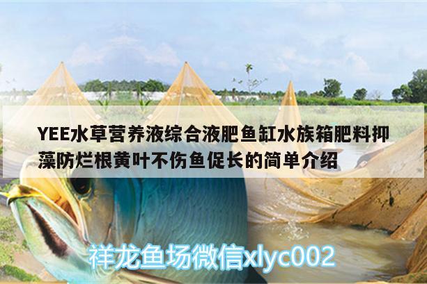 YEE水草营养液综合液肥鱼缸水族箱肥料抑藻防烂根黄叶不伤鱼促长的简单介绍