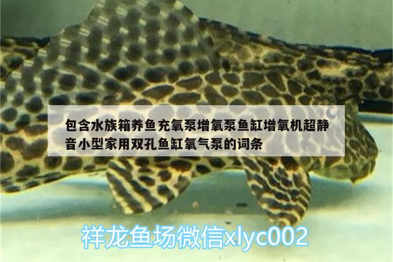 包含水族箱养鱼充氧泵增氧泵鱼缸增氧机超静音小型家用双孔鱼缸氧气泵的词条 鱼缸/水族箱