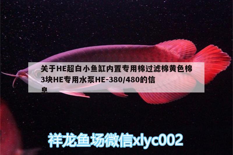 关于HE超白小鱼缸内置专用棉过滤棉黄色棉3块HE专用水泵HE-380/480的信息 广州水族器材滤材批发市场