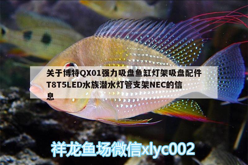 关于博特QX01强力吸盘鱼缸灯架吸盘配件T8T5LED水族潜水灯管支架NEC的信息