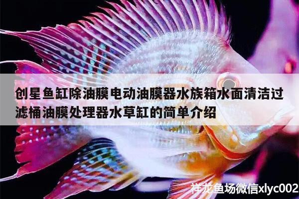 创星鱼缸除油膜电动油膜器水族箱水面清洁过滤桶油膜处理器水草缸的简单介绍