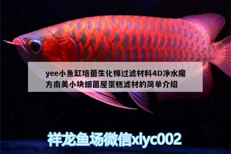 yee小鱼缸培菌生化棉过滤材料4D净水魔方南美小块细菌屋蛋糕滤材的简单介绍 yee