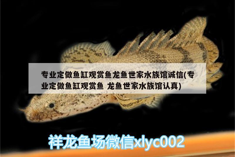 专业定做鱼缸观赏鱼龙鱼世家水族馆诚信(专业定做鱼缸观赏鱼龙鱼世家水族馆认真) 圣菲埃及鱼