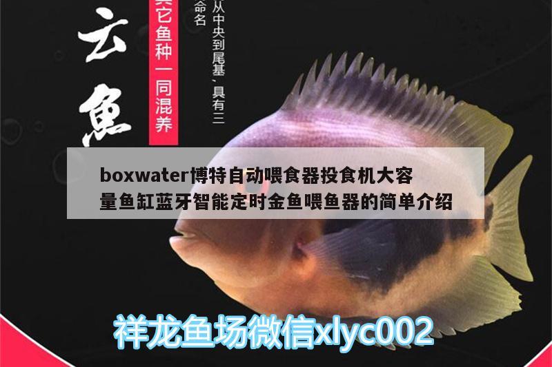 boxwater博特自动喂食器投食机大容量鱼缸蓝牙智能定时金鱼喂鱼器的简单介绍