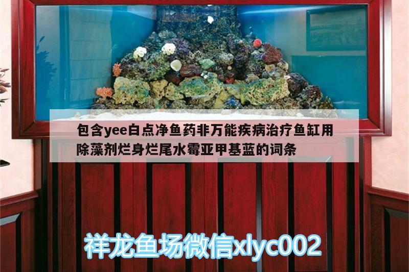 包含yee白点净鱼药非万能疾病治疗鱼缸用除藻剂烂身烂尾水霉亚甲基蓝的词条