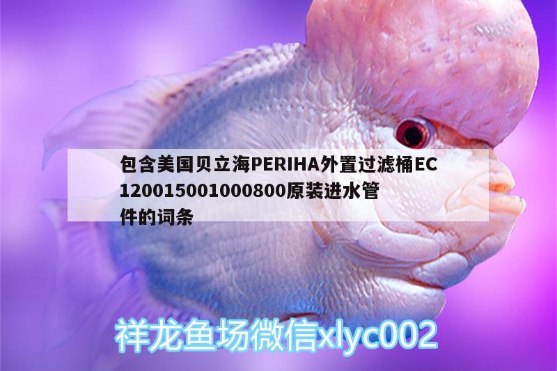 包含美国贝立海PERIHA外置过滤桶EC120015001000800原装进水管件的词条 垂钓乐园