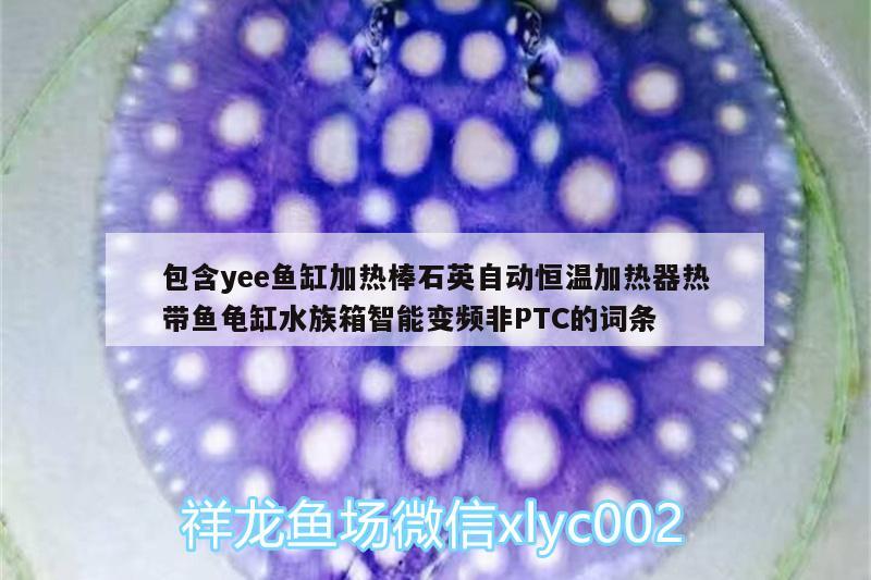 包含yee鱼缸加热棒石英自动恒温加热器热带鱼龟缸水族箱智能变频非PTC的词条