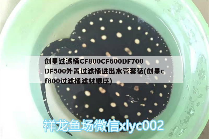 创星过滤桶CF800CF600DF700DF500外置过滤桶进出水管套装(创星cf800过滤桶滤材顺序) 广州水族器材滤材批发市场