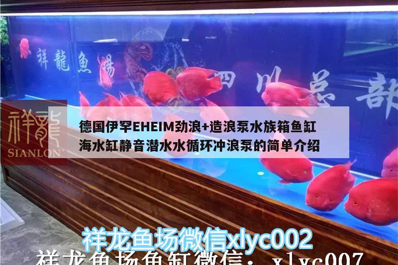 德国伊罕EHEIM劲浪+造浪泵水族箱鱼缸海水缸静音潜水水循环冲浪泵的简单介绍