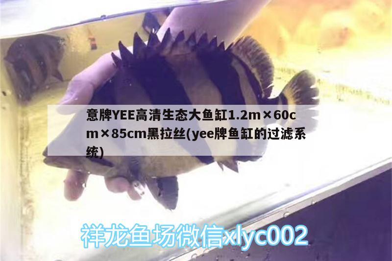 意牌YEE高清生态大鱼缸1.2m×60cm×85cm黑拉丝(yee牌鱼缸的过滤系统)
