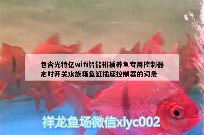 包含光特亿wifi智能排插养鱼专用控制器定时开关水族箱鱼缸插座控制器的词条 光特亿