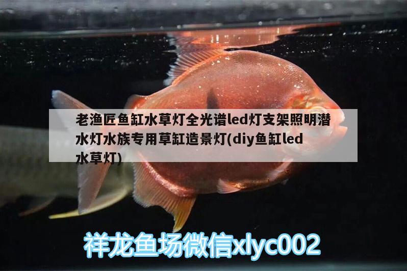 老渔匠鱼缸水草灯全光谱led灯支架照明潜水灯水族专用草缸造景灯(diy鱼缸led水草灯)