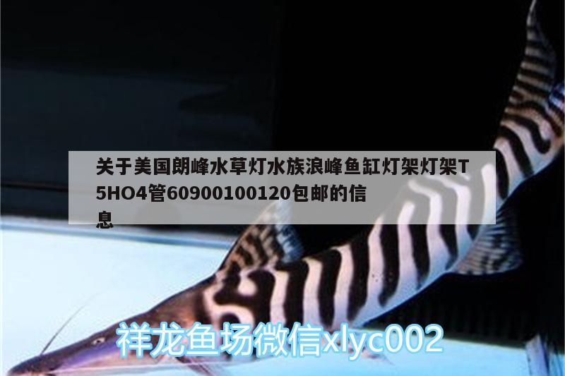 关于美国朗峰水草灯水族浪峰鱼缸灯架灯架T5HO4管60900100120包邮的信息 水草