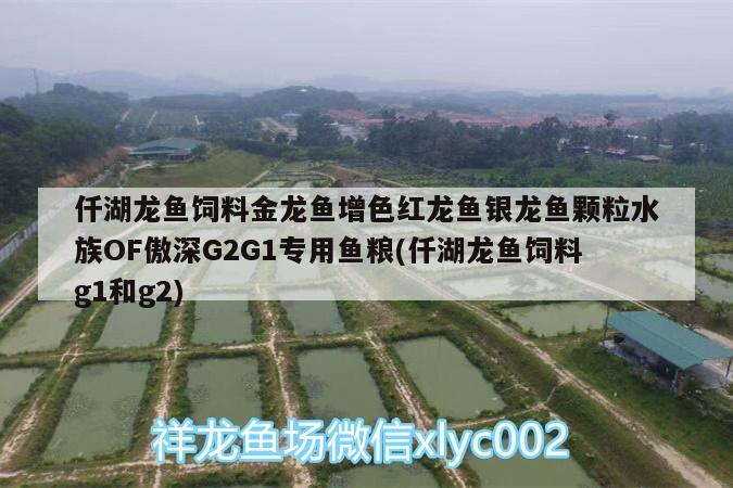 仟湖龙鱼饲料金龙鱼增色红龙鱼银龙鱼颗粒水族OF傲深G2G1专用鱼粮(仟湖龙鱼饲料g1和g2) 仟湖