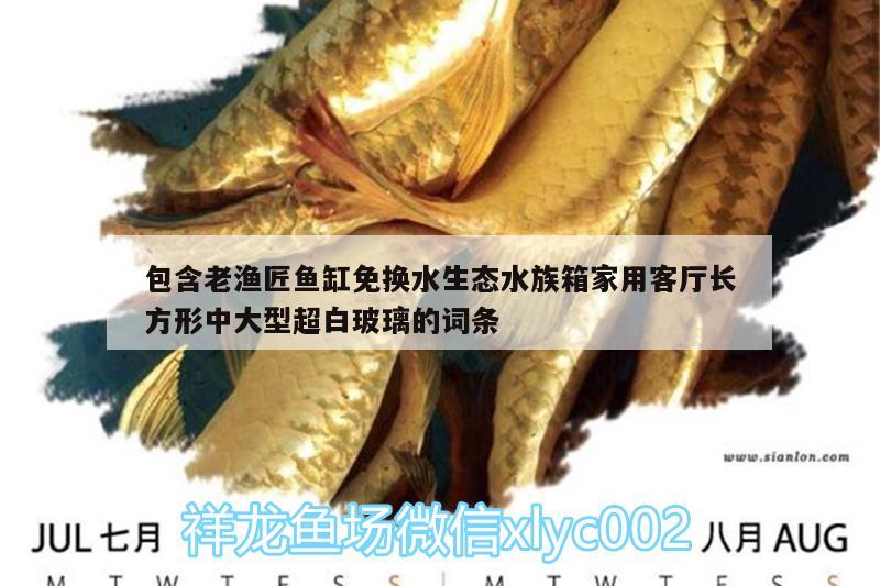 包含老渔匠鱼缸免换水生态水族箱家用客厅长方形中大型超白玻璃的词条