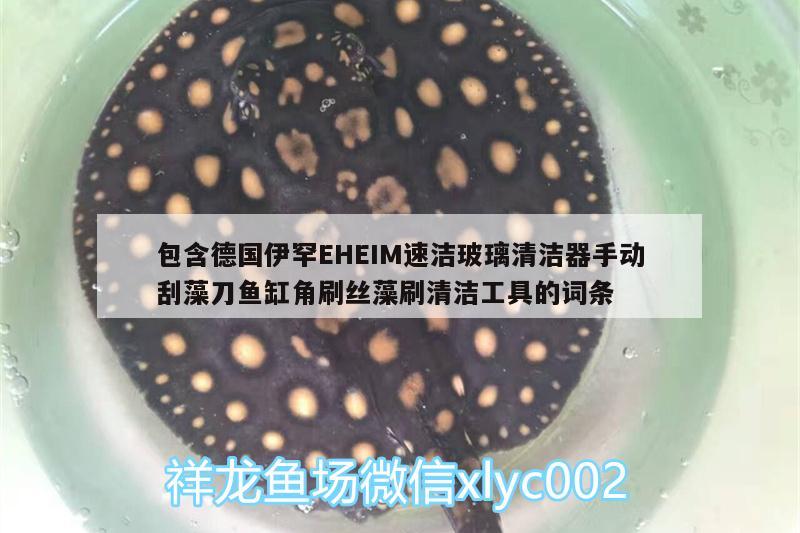 包含德国伊罕EHEIM速洁玻璃清洁器手动刮藻刀鱼缸角刷丝藻刷清洁工具的词条