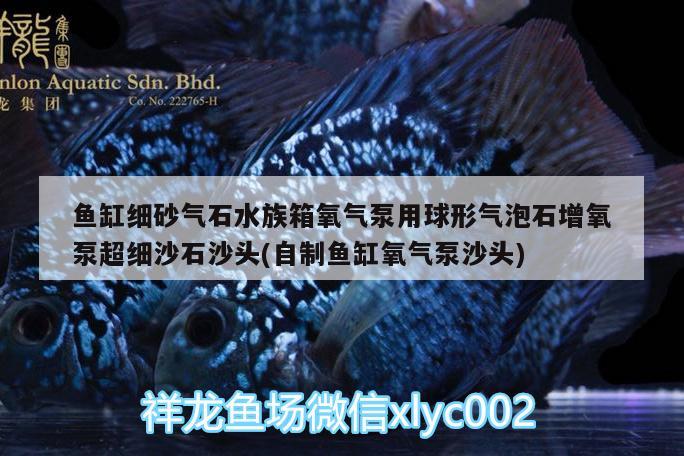 鱼缸细砂气石水族箱氧气泵用球形气泡石增氧泵超细沙石沙头(自制鱼缸氧气泵沙头)