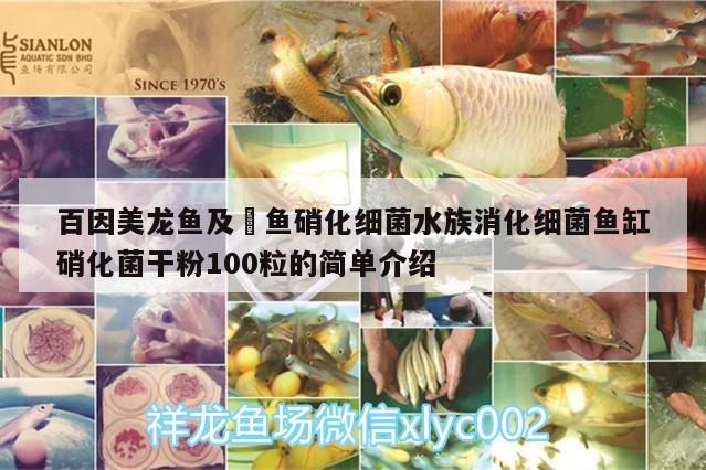 百因美龙鱼及魟鱼硝化细菌水族消化细菌鱼缸硝化菌干粉100粒的简单介绍