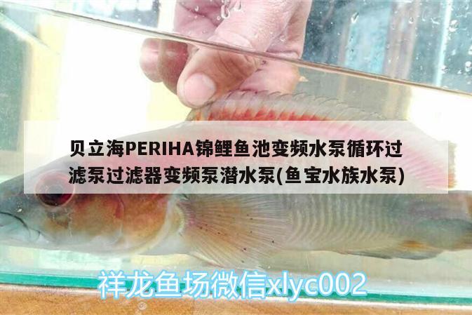 贝立海PERIHA锦鲤鱼池变频水泵循环过滤泵过滤器变频泵潜水泵(鱼宝水族水泵) 垂钓乐园