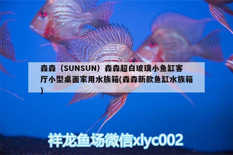 森森（SUNSUN）森森超白玻璃小鱼缸客厅小型桌面家用水族箱(森森新款鱼缸水族箱)