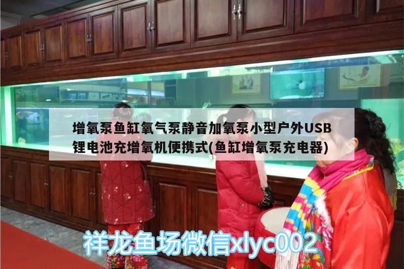 增氧泵鱼缸氧气泵静音加氧泵小型户外USB锂电池充增氧机便携式(鱼缸增氧泵充电器) 广州水族器材滤材批发市场