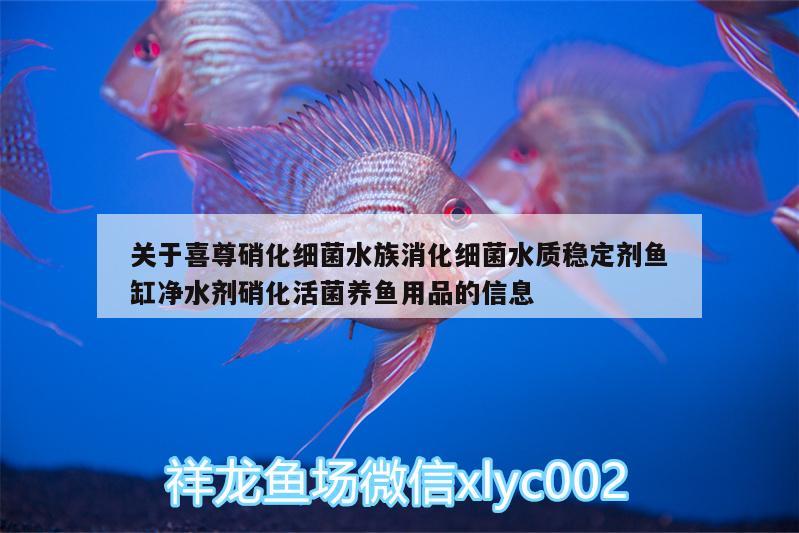 关于喜尊硝化细菌水族消化细菌水质稳定剂鱼缸净水剂硝化活菌养鱼用品的信息 硝化细菌