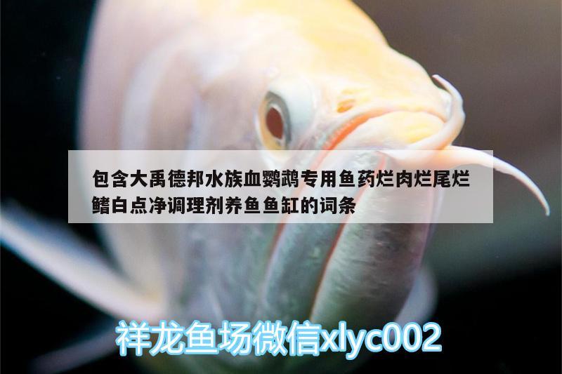 包含大禹德邦水族血鹦鹉专用鱼药烂肉烂尾烂鳍白点净调理剂养鱼鱼缸的词条