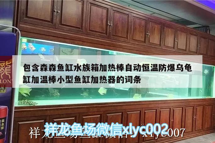 包含森森鱼缸水族箱加热棒自动恒温防爆乌龟缸加温棒小型鱼缸加热器的词条 乌龟