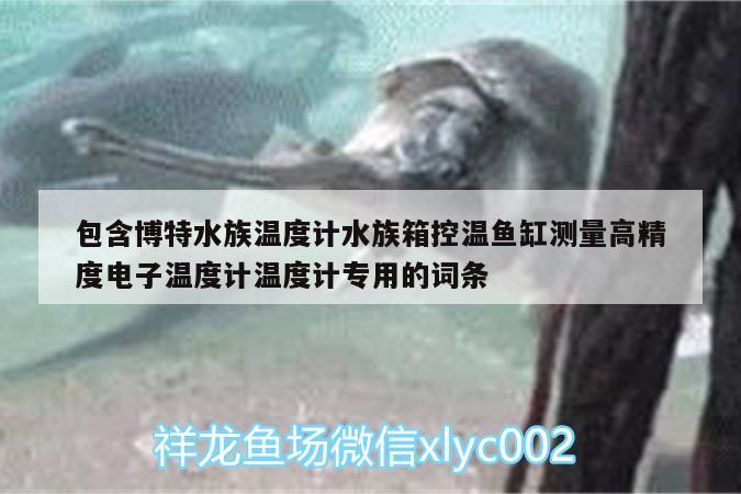 包含博特水族温度计水族箱控温鱼缸测量高精度电子温度计温度计专用的词条