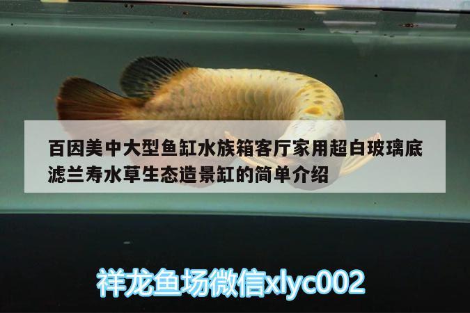 百因美中大型鱼缸水族箱客厅家用超白玻璃底滤兰寿水草生态造景缸的简单介绍 鱼缸/水族箱