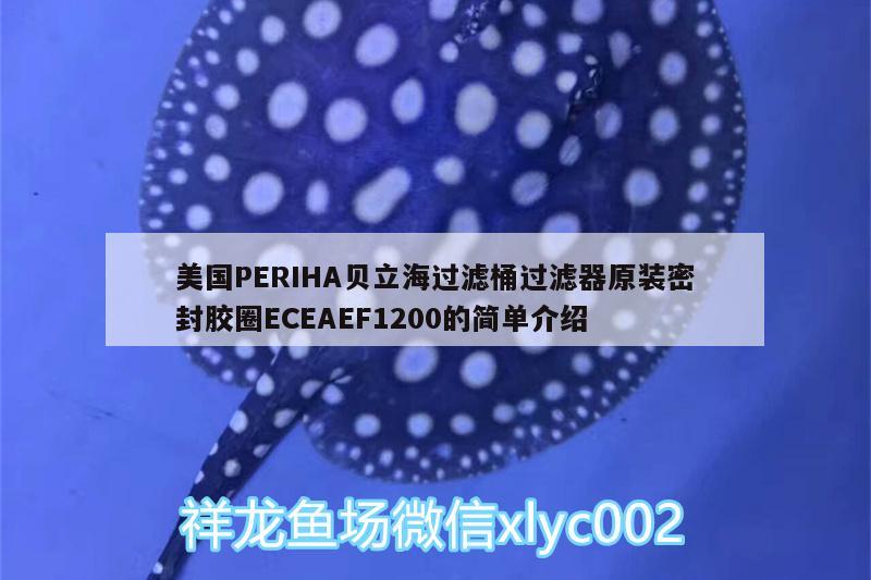 美国PERIHA贝立海过滤桶过滤器原装密封胶圈ECEAEF1200的简单介绍 垂钓乐园