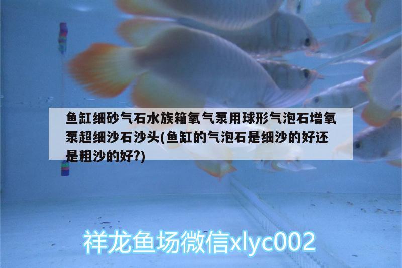 鱼缸细砂气石水族箱氧气泵用球形气泡石增氧泵超细沙石沙头(鱼缸的气泡石是细沙的好还是粗沙的好?)