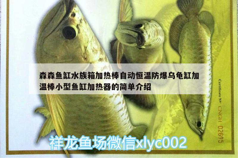 森森鱼缸水族箱加热棒自动恒温防爆乌龟缸加温棒小型鱼缸加热器的简单介绍 乌龟