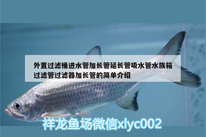 外置过滤桶进水管加长管延长管吸水管水族箱过滤管过滤器加长管的简单介绍 鱼缸/水族箱