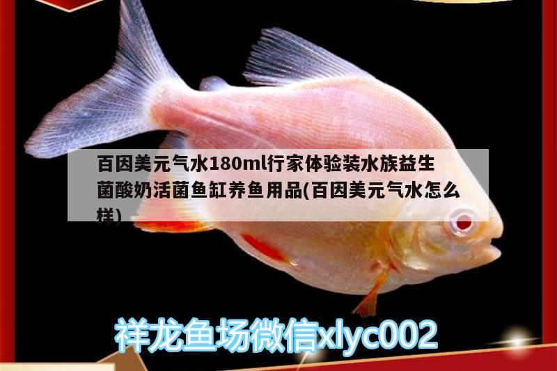 百因美元气水180ml行家体验装水族益生菌酸奶活菌鱼缸养鱼用品(百因美元气水怎么样)