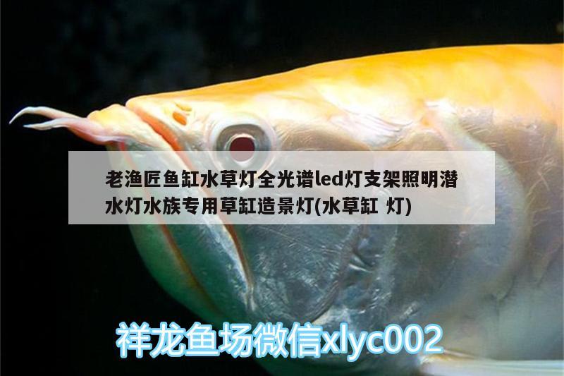 老渔匠鱼缸水草灯全光谱led灯支架照明潜水灯水族专用草缸造景灯(水草缸灯) 水草