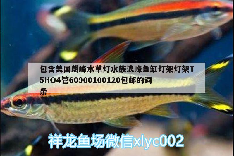 包含美国朗峰水草灯水族浪峰鱼缸灯架灯架T5HO4管60900100120包邮的词条 水草