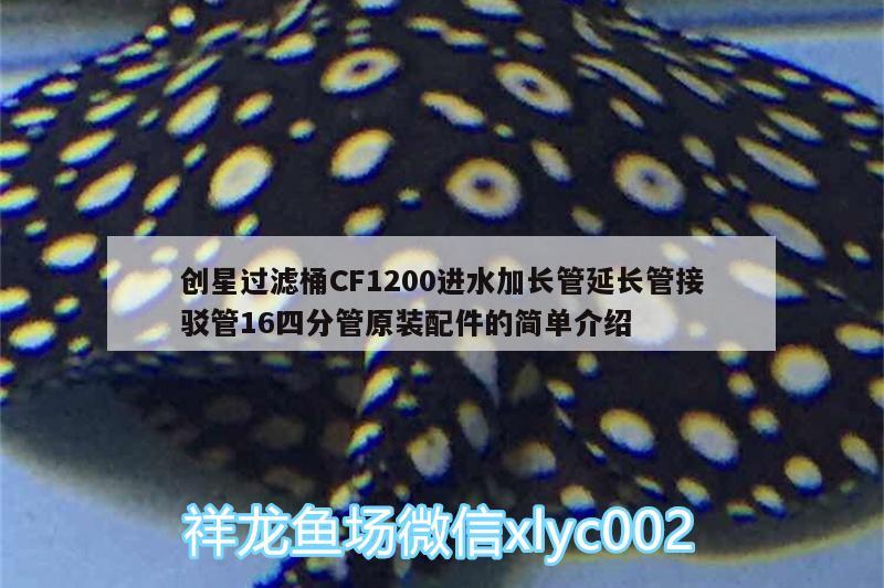 创星过滤桶CF1200进水加长管延长管接驳管16四分管原装配件的简单介绍 广州水族器材滤材批发市场