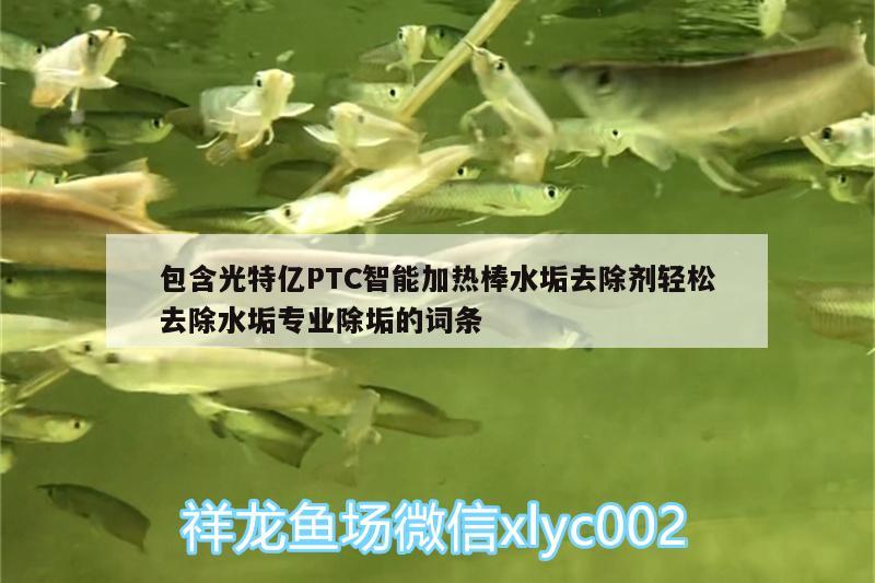 包含光特亿PTC智能加热棒水垢去除剂轻松去除水垢专业除垢的词条